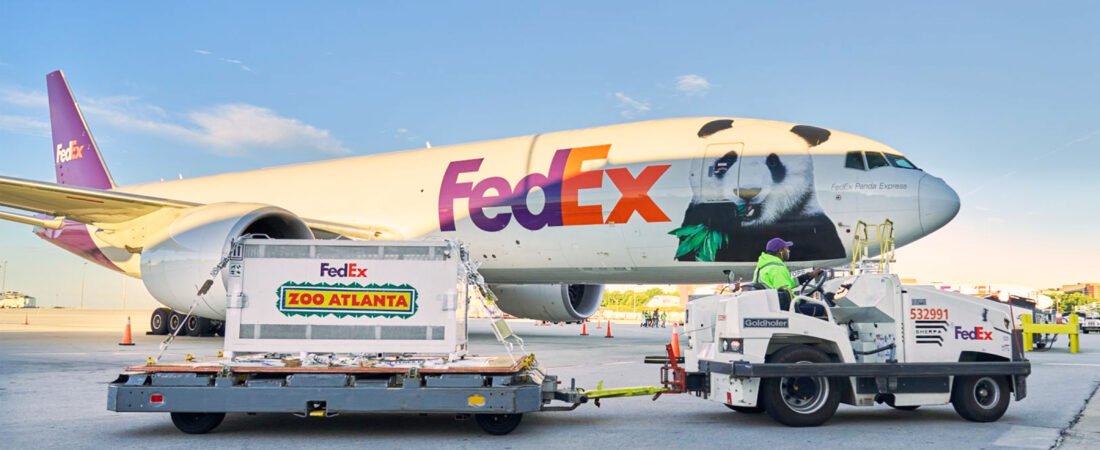 Giant pandas Ping Ping and Fu Shuang arrive in Atlanta from China