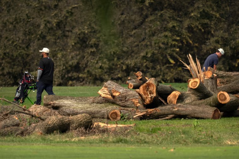 Trump Golf Course