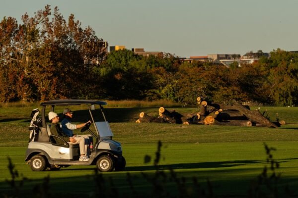 PHOTO: Felled trees at East Potomac Golf Links in Washington